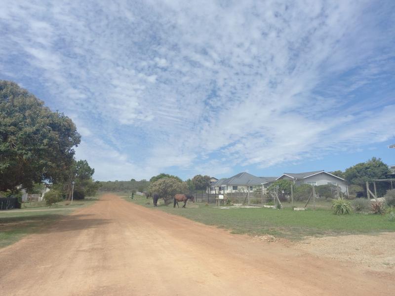 0 Bedroom Property for Sale in Fisherhaven Western Cape